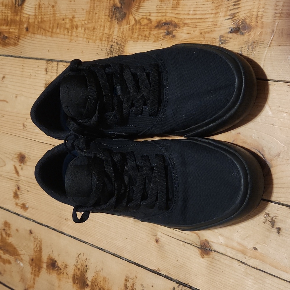 Nike Skateboard Sneakers